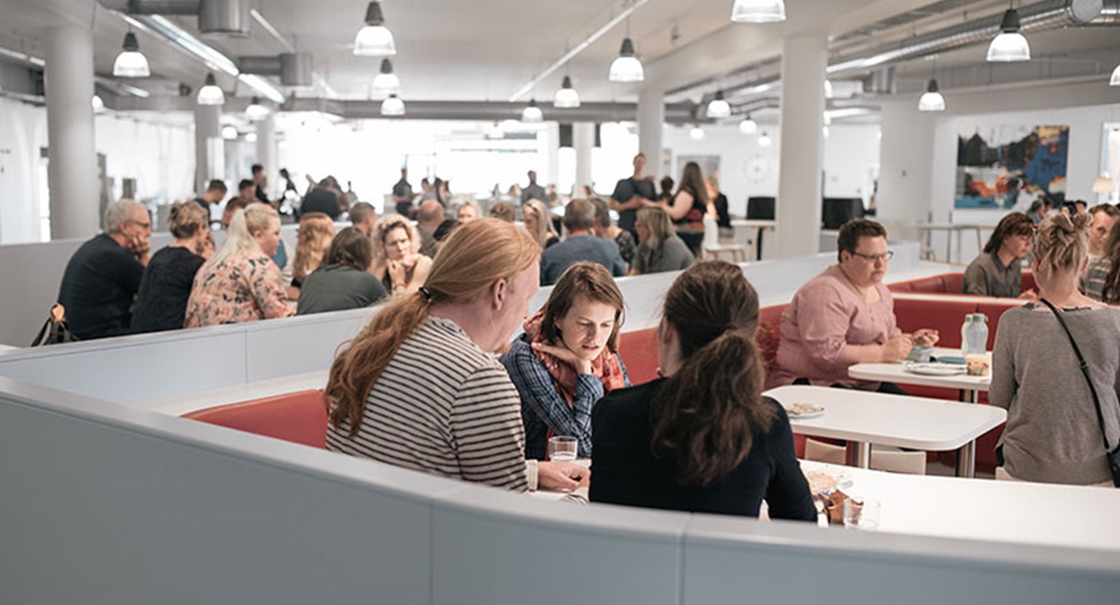 Students sitting on the lunch zone in school